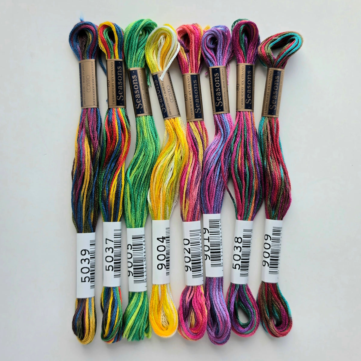 Rainbow Party Seasons Floss Bundle