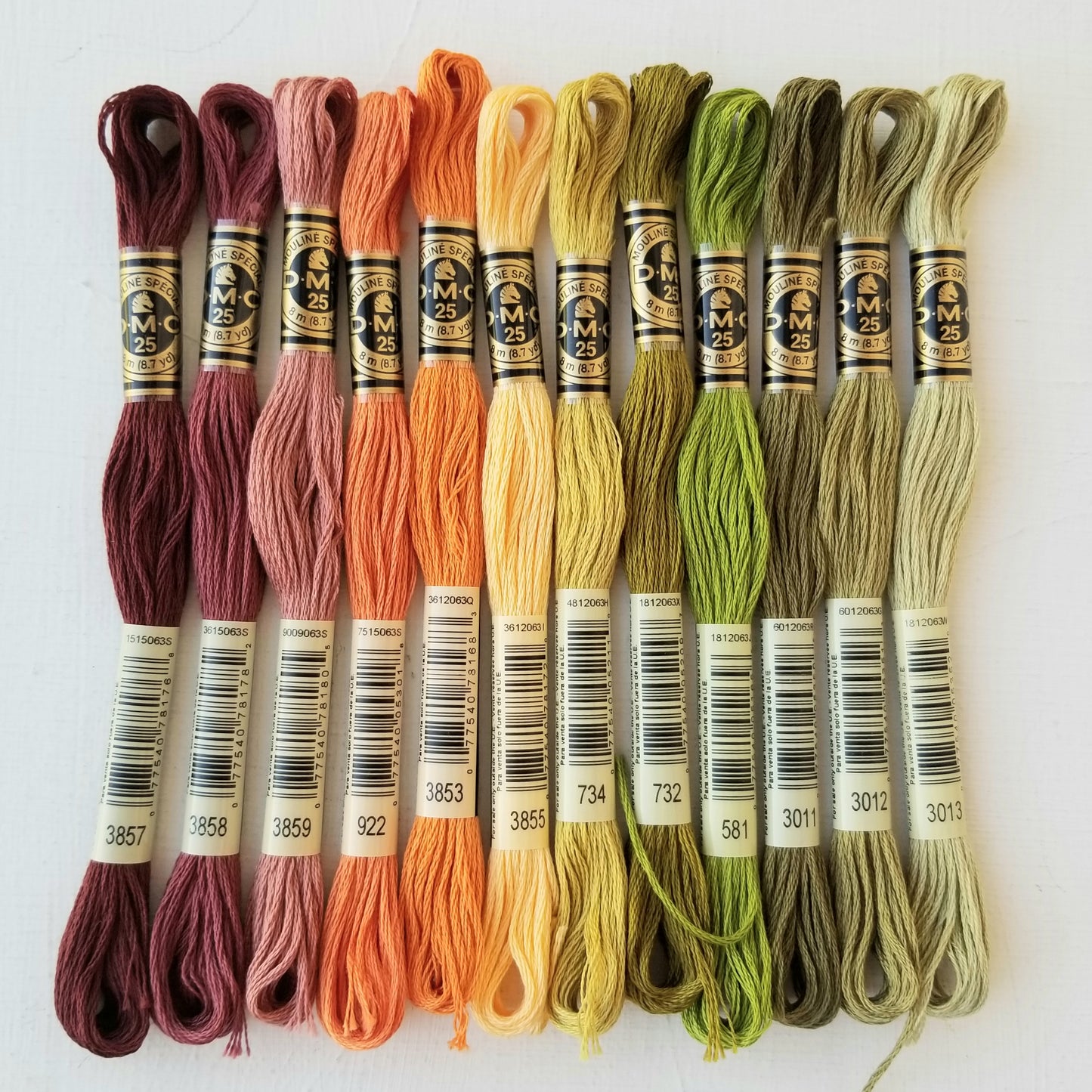 October DMC Floss Bundle