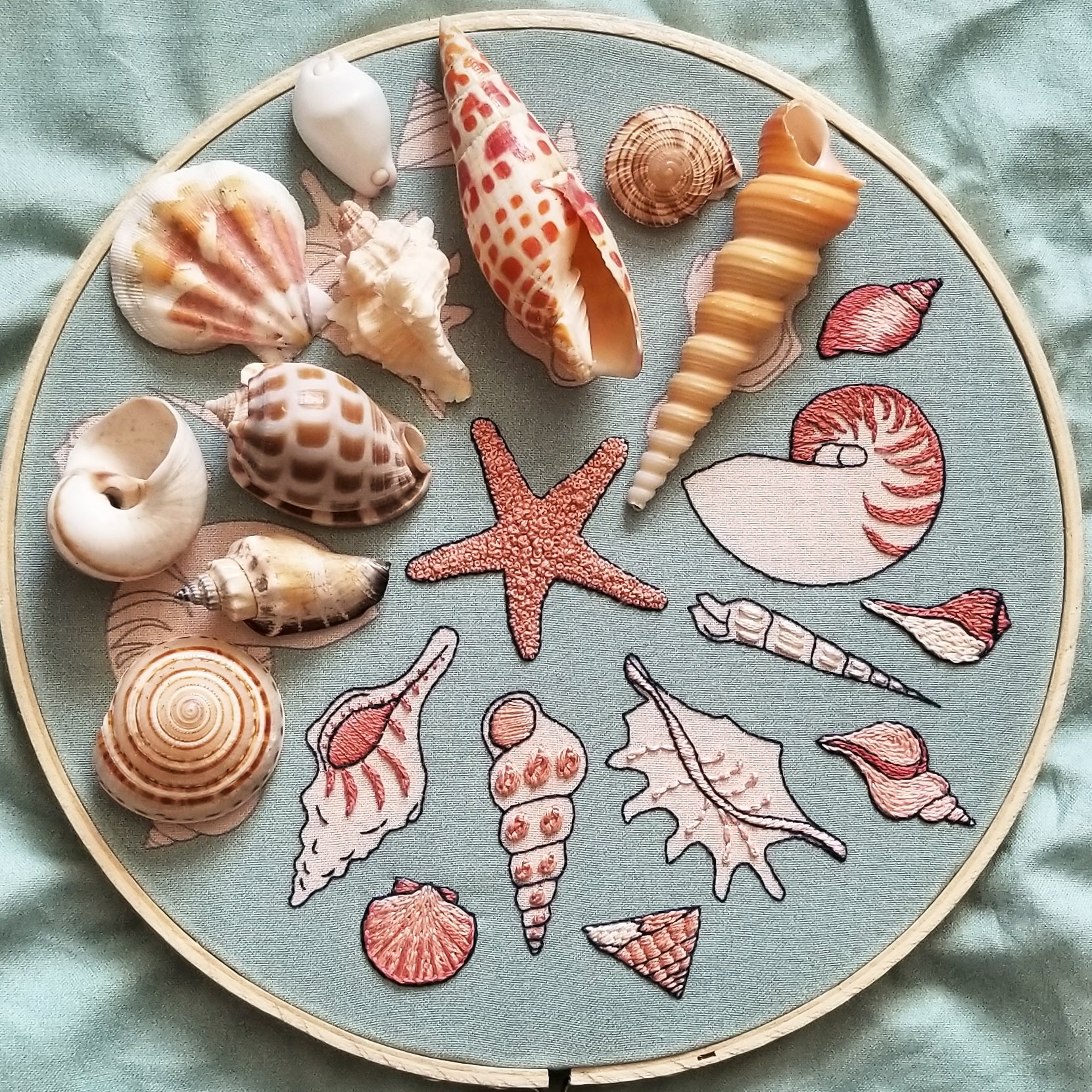 Small Shells Embroidery Design Bundle