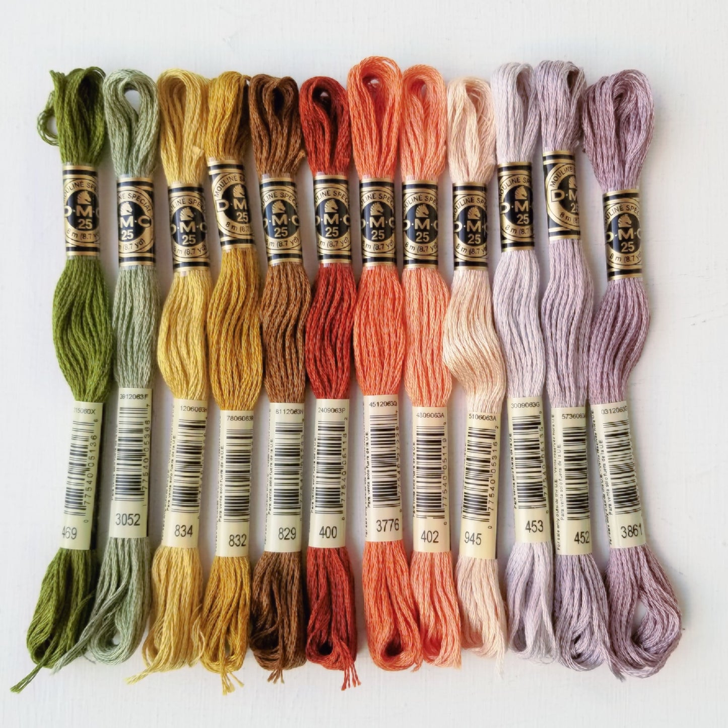 August DMC Floss Bundle