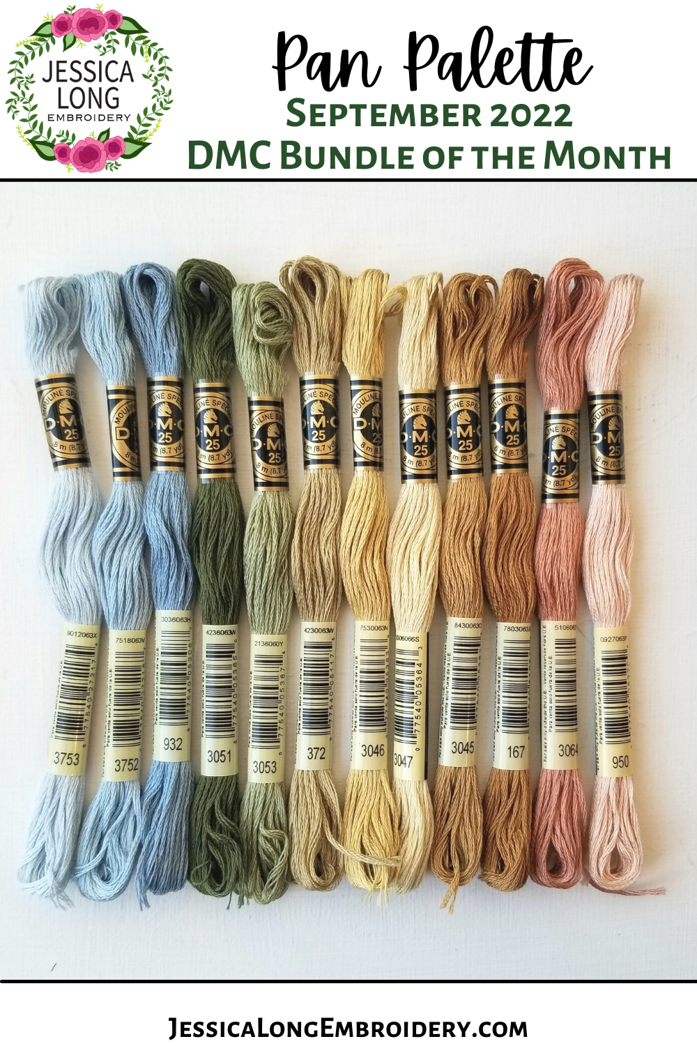 Pan DMC Floss Bundle