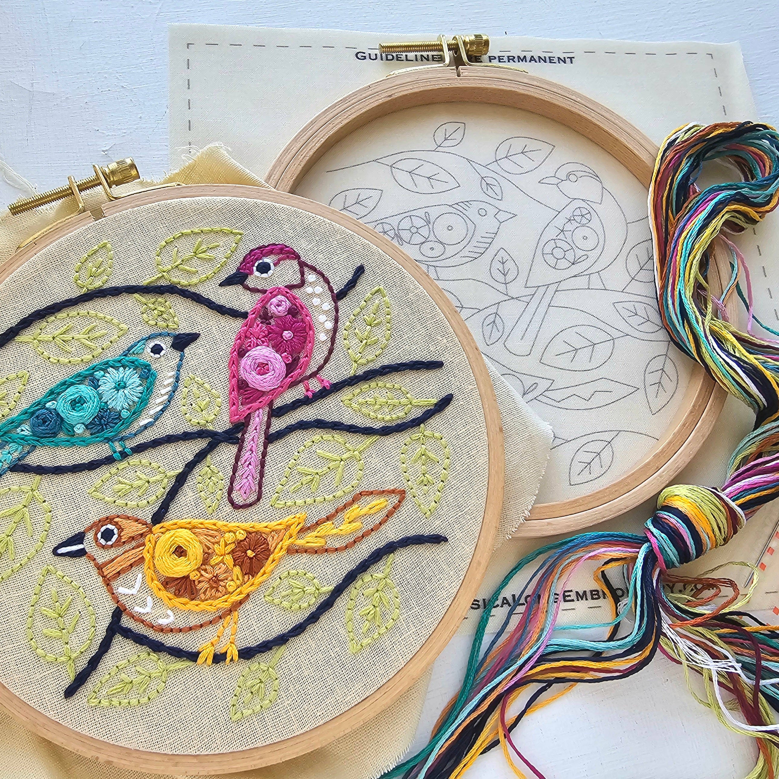 Beetle Collection Embroidery Kit, Jessica Long Embroidery
