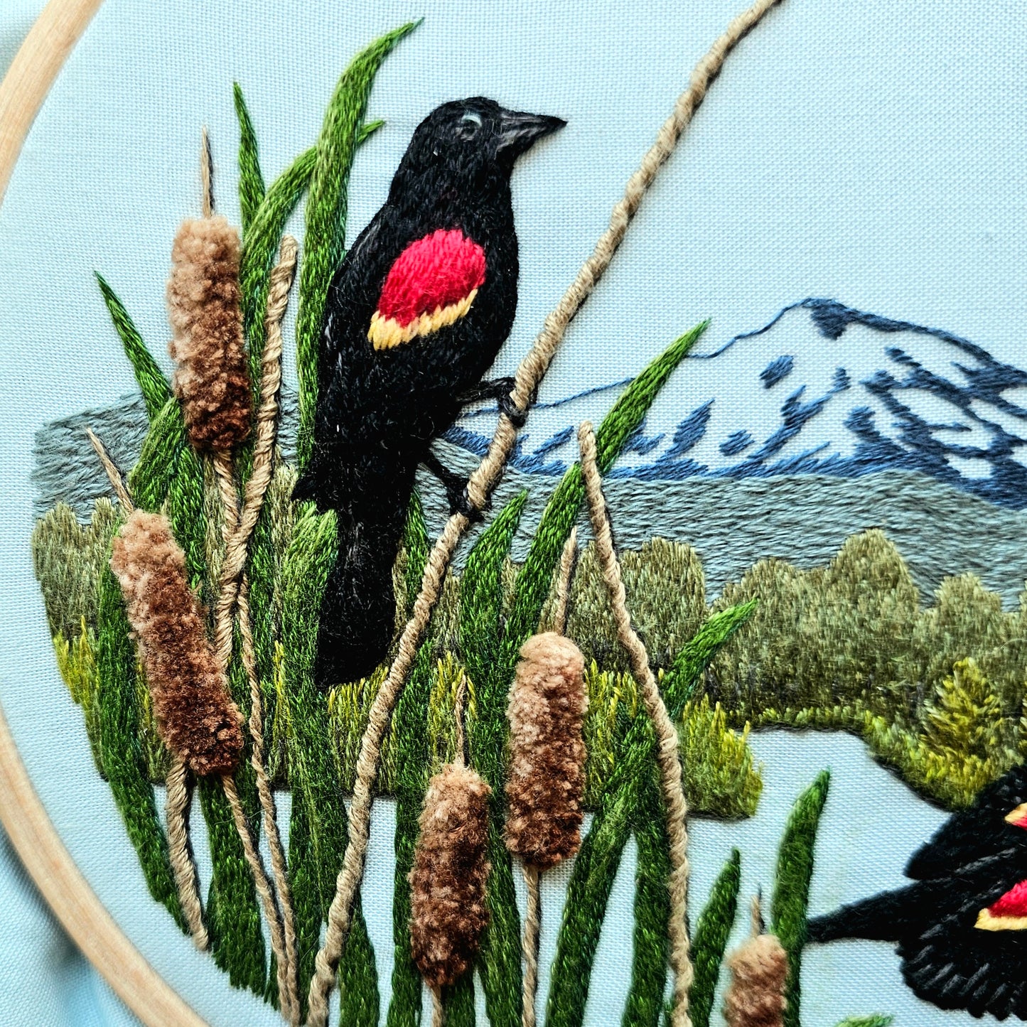 Red-Winged Balckbirds (PDF)