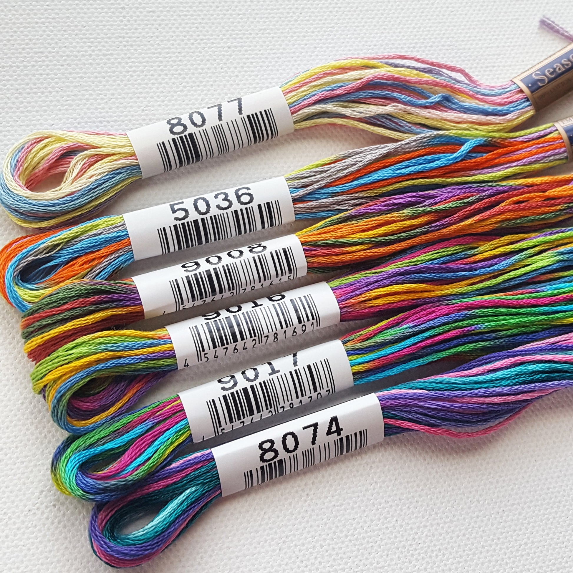 Variegated Embroidery Floss Lecien COSMO Seasons Embroidery Thread
